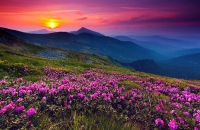 Природа (0)