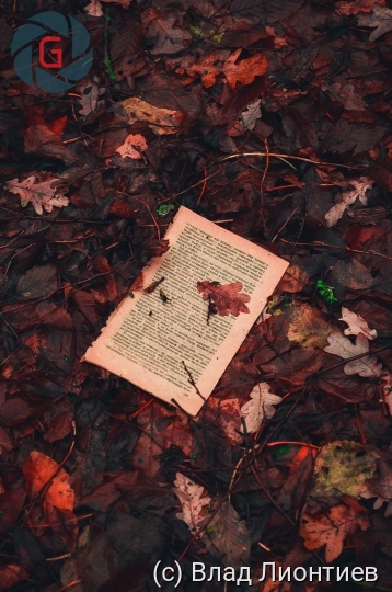 Лист бумаги лежит в листьях